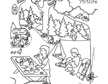 May/June: Ponder the Picture: Camping teaching resource