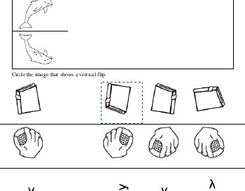 Vertical Flips teaching resource